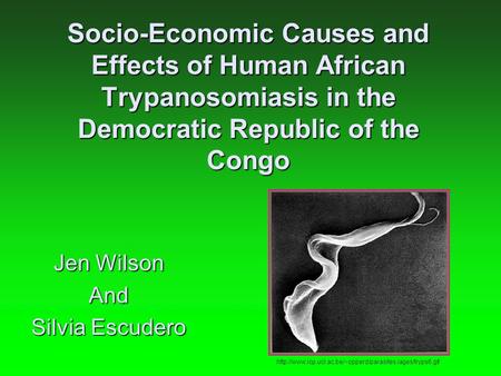 Socio-Economic Causes and Effects of Human African Trypanosomiasis in the Democratic Republic of the Congo Jen Wilson And Silvia Escudero