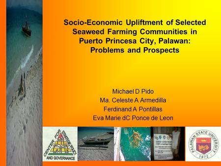 Socio-Economic Upliftment of Selected Seaweed Farming Communities in Puerto Princesa City, Palawan: Problems and Prospects Michael D Pido Ma. Celeste A.