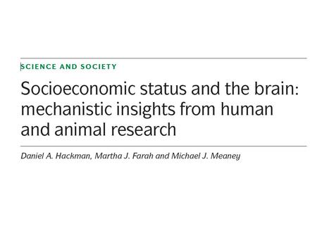 Hypothesis? They described studies in humans that show that SES influences cognitive and affective function in children, adolescents and young adults.