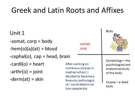 Greek and Latin Roots and Affixes