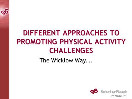 Rathdrum DIFFERENT APPROACHES TO PROMOTING PHYSICAL ACTIVITY CHALLENGES The Wicklow Way….