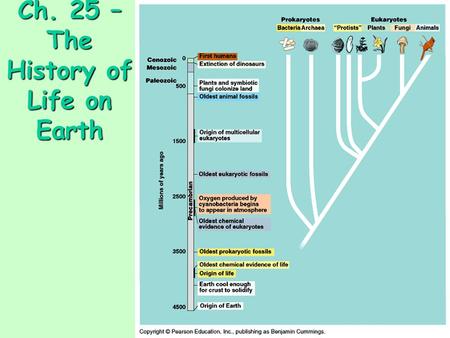 Ch. 25 – The History of Life on Earth. Lost Worlds Macroevolution Broad pattern of evolution above the species levels Terrestrial vertebrates Mass extinctions.