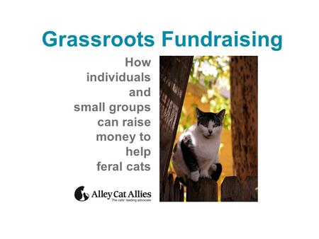 Grassroots Fundraising How individuals and small groups can raise money to help feral cats.