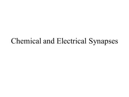 Chemical and Electrical Synapses