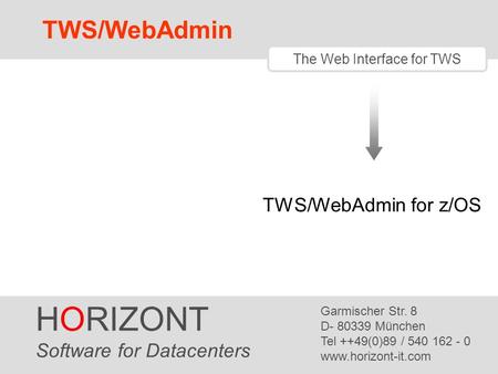 The Web Interface for TWS