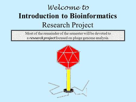 Introduction to Bioinformatics Research Project Most of the remainder of the semester will be devoted to a research project focused on phage genome analysis.