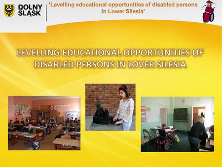 46% of disabled persons graduated primary school 4,5% had attained higher education, LOW LEVEL OF EDUCATION 80% of disabled persons in are inactive professionally.