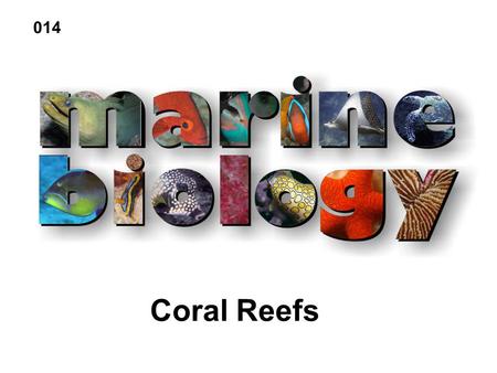 014 Coral Reefs.