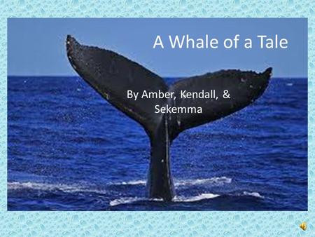 A Whale of a Tale By Amber, Kendall, & Sekemma TRIP TO THE MOON CRISPUS ATTUCKS LED A SAILING CREW IN THE BOSTON MASSACRE, BUT THEY WERE NOT BIG ENOUGH.