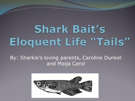 By: Sharkie’s loving parents, Caroline Dunkel and Maija Carol.