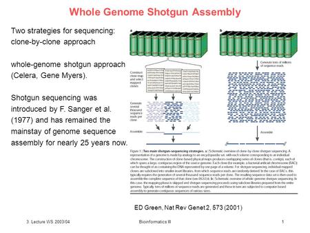 3. Lecture WS 2003/04Bioinformatics III1 Whole Genome Shotgun Assembly Two strategies for sequencing: clone-by-clone approach whole-genome shotgun approach.