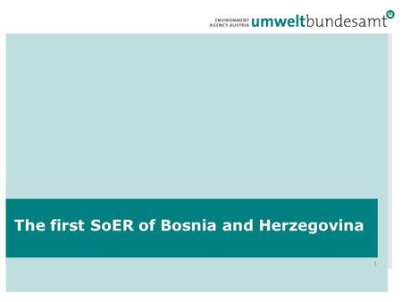 1 The first SoER of Bosnia and Herzegovina. 2 The difficult situation in Bosnia and Herzegovina.