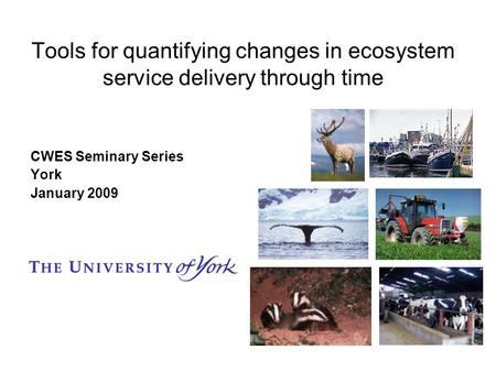 Tools for quantifying changes in ecosystem service delivery through time CWES Seminary Series York January 2009.