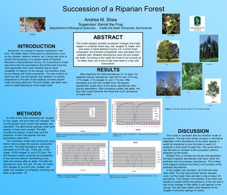 Succession of a Riparian Forest Andrea M. Shea Supervisor: Kermit the Frog Department of Biological Sciences California State University, Sacramento ABSTRACT.