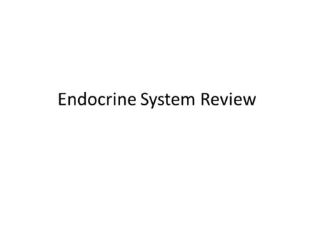 Endocrine System Review