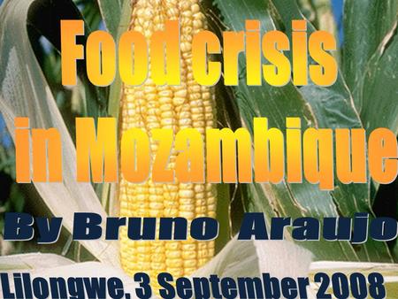 Food crisis in Mozambique Food prices are rising relatively faster than general prices 2007 A sudden rise in prices occurred (September) Begin of food.