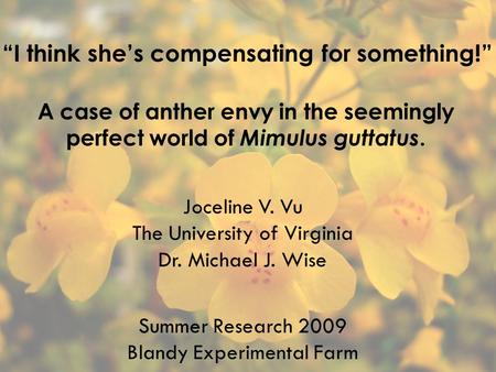 “I think she’s compensating for something!” A case of anther envy in the seemingly perfect world of Mimulus guttatus. Joceline V. Vu The University of.