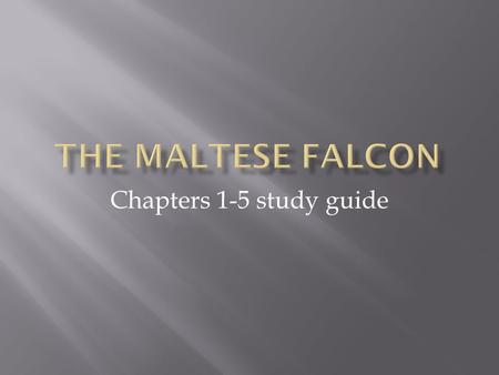 Chapters 1-5 study guide.  The story’s protagonist  A private detective  He looks like a “blond Satan.” he is a tall, thickly built man (physically.