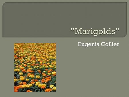 Eugenia Collier.  Maryland – in an impoverished area during the Depression.