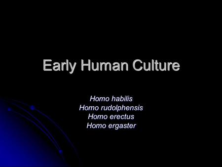 Homo habilis Homo rudolphensis Homo erectus Homo ergaster