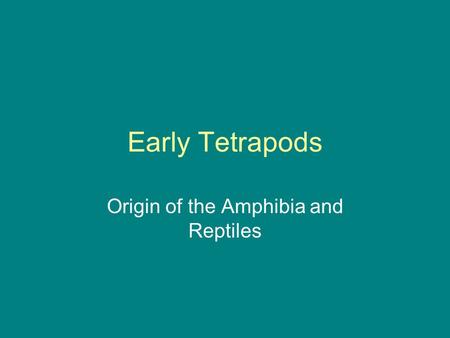 Early Tetrapods Origin of the Amphibia and Reptiles.