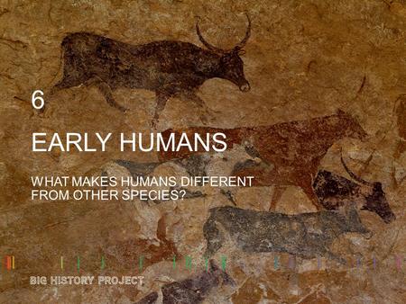 WHAT MAKES HUMANS DIFFERENT FROM OTHER SPECIES?