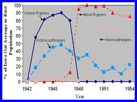 Strategies for Major Genes One gene at a time Gene rotation Gene “ pyramids ” Mixtures Regional deployment Working With Minor Genes.