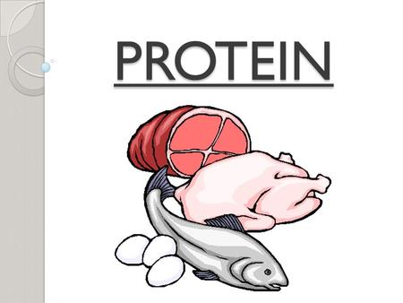 PROTEIN.