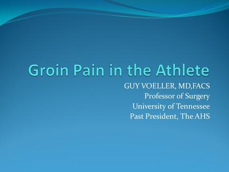 Groin Pain in the Athlete