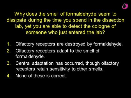 Why does the smell of formaldehyde seem to dissipate during the time you spend in the dissection lab, yet you are able to detect the cologne of someone.