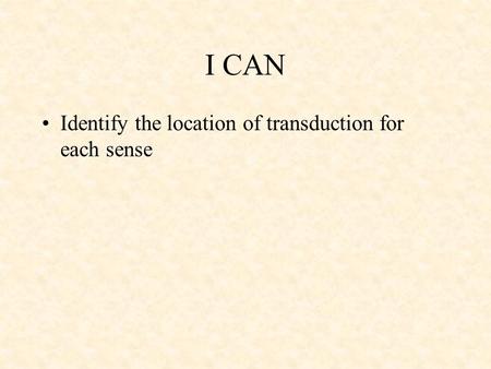 I CAN Identify the location of transduction for each sense.