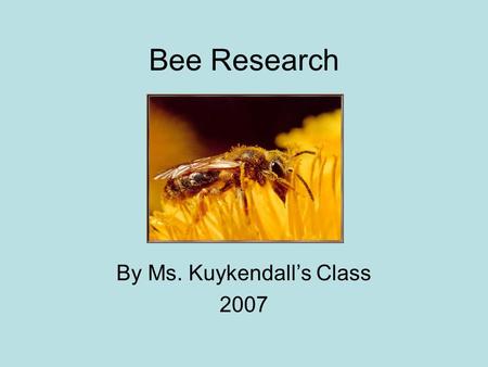 Bee Research By Ms. Kuykendall’s Class 2007. Honeybees and Honey By William, Devin and Franklin Honeybees make honey so they have food to eat.