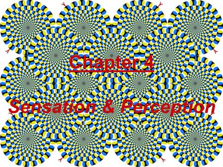 Chapter 4 Sensation & Perception