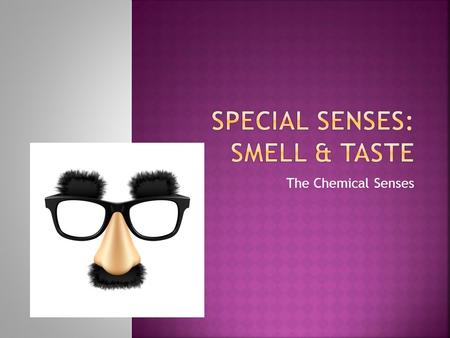 The Chemical Senses.  Primitive senses to alert us to savor or avoid substances  Chemoreceptors of gustation and olfaction respond to chemicals in aqueous.