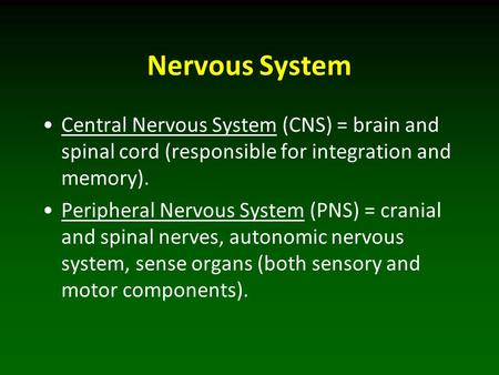 Nervous System Central Nervous System (CNS) = brain and spinal cord (responsible for integration and memory). Peripheral Nervous System (PNS) = cranial.