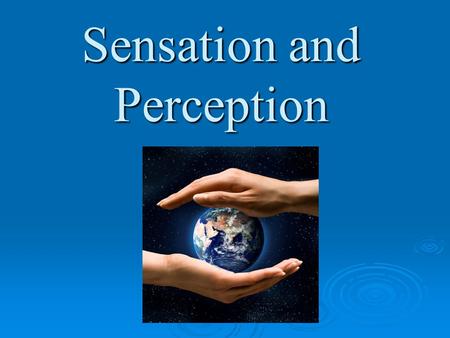 Sensation and Perception