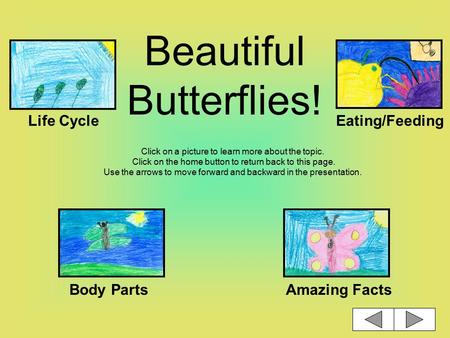 Beautiful Butterflies! Click on a picture to learn more about the topic. Click on the home button to return back to this page. Use the arrows to move.