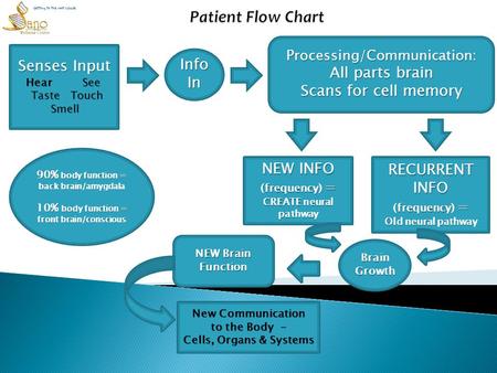 Senses Input Hear See Hear See Taste Touch Taste Touch Smell Smell Info In Processing/Communication: All parts brain Scans for cell memory NEW INFO (frequency)