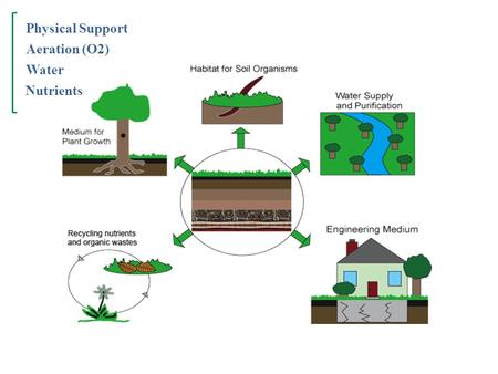 Physical Support Nutrients Water Aeration (O2).