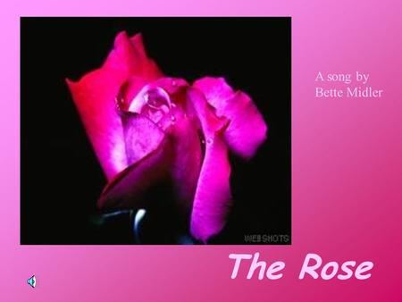 The Rose A song by Bette Midler Some say love, it is a river That drowns the tender reed Some say love, it is a razor That leaves your soul to bleed.