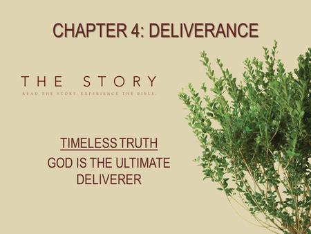 CHAPTER 4: DELIVERANCE TIMELESS TRUTH GOD IS THE ULTIMATE DELIVERER.