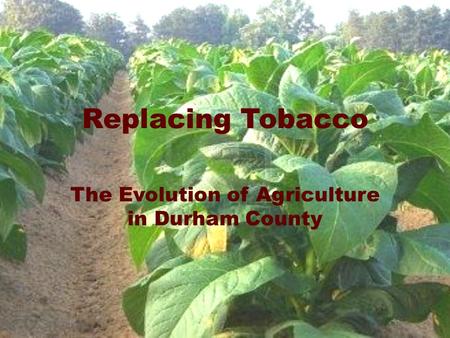 Replacing Tobacco The Evolution of Agriculture in Durham County.