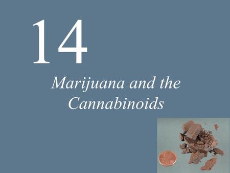 Marijuana and the Cannabinoids 14. 14 Marijuana and the Cannabinoids Background and History of Marijuana Basic Pharmacology of Marijuana Mechanisms of.