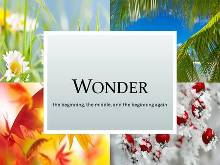 W ONDER the beginning, the middle, and the beginning again.