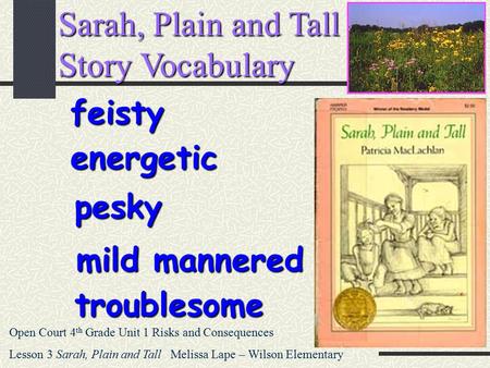 Sarah, Plain and Tall Story Vocabulary feisty energetic pesky mild mannered troublesome Open Court 4 th Grade Unit 1 Risks and Consequences Lesson 3 Sarah,