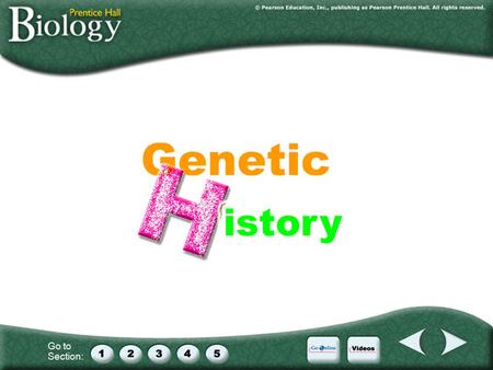 Go to Section:. The Father of Genetics – Gregor Johann Mendel (1822-1884) 1863 - 1866 Mendel cultivated and tested some 28 000 pea plants.