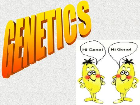 I.Introductory Definitions A.Heredity: passing traits from parents to offspring B.Genetics: study of heredity C.Chromosomes:rod-shaped, coiled.