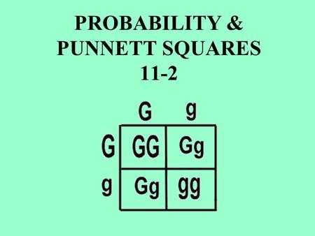 PROBABILITY & PUNNETT SQUARES 11-2. It can be written as a: Fraction ____ Percent ____ ____________________ is the __________ that a particular _________________.