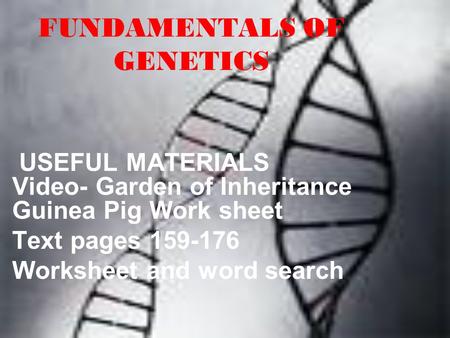 FUNDAMENTALS OF GENETICS USEFUL MATERIALS Video- Garden of Inheritance Guinea Pig Work sheet Text pages 159-176 Worksheet and word search.