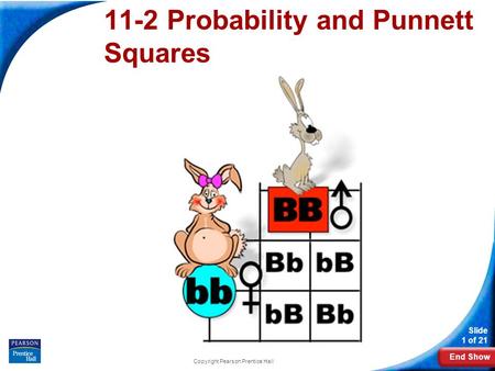 11-2 Probability and Punnett Squares